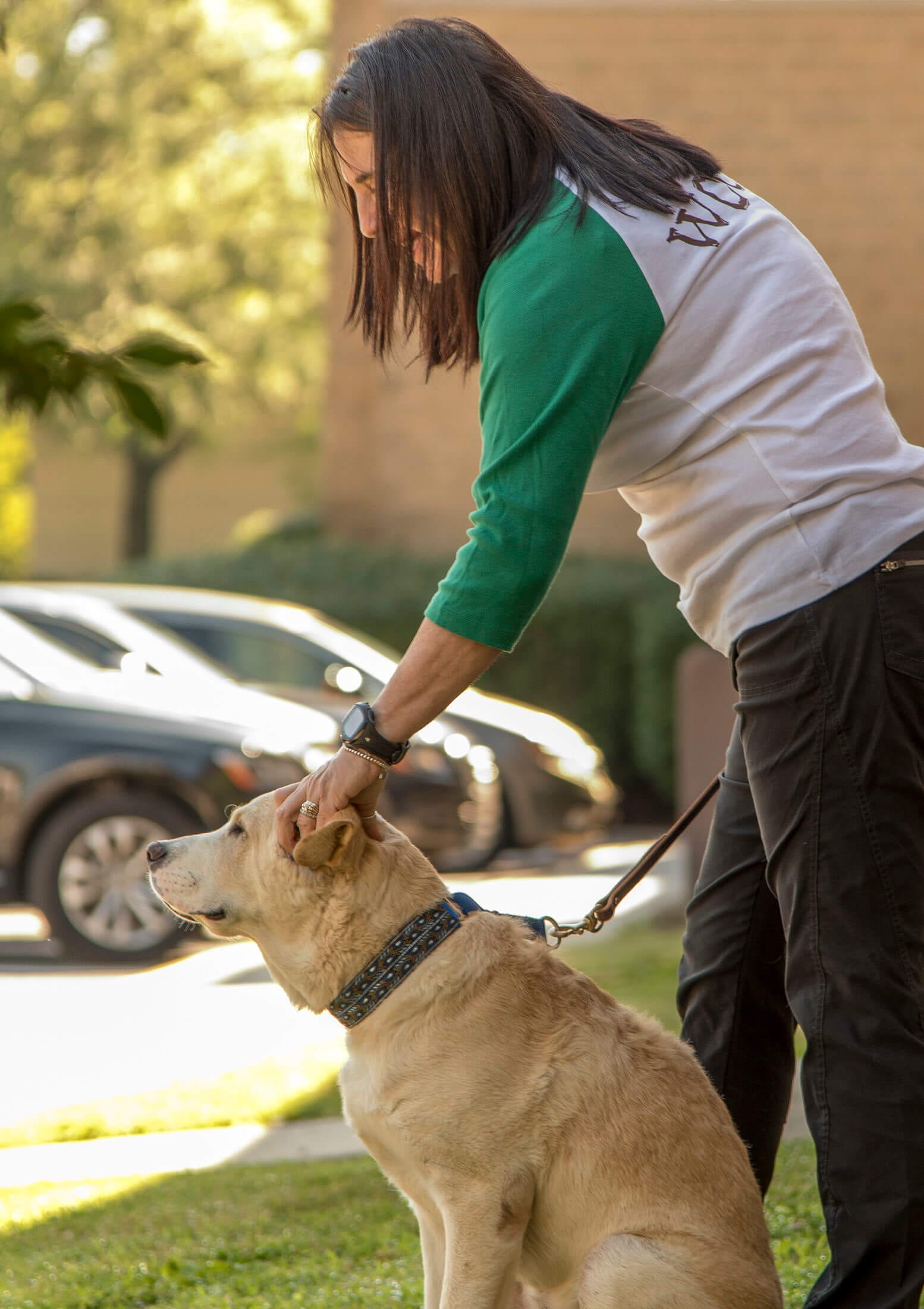 Benefits of Classical and Operant Conditioning; Training for You & Your Dog